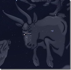 Sternbild Stier