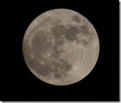 Mond2