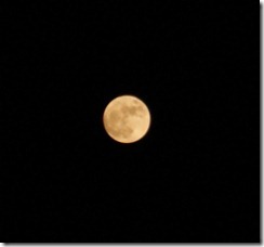 Mond