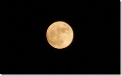 Mond_Skaliert