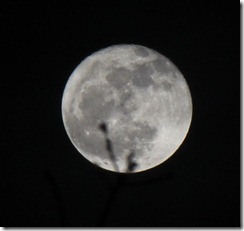 Mond_20120208
