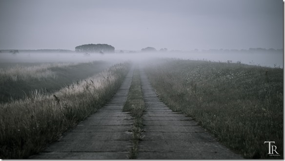 Nebel Plattenweg