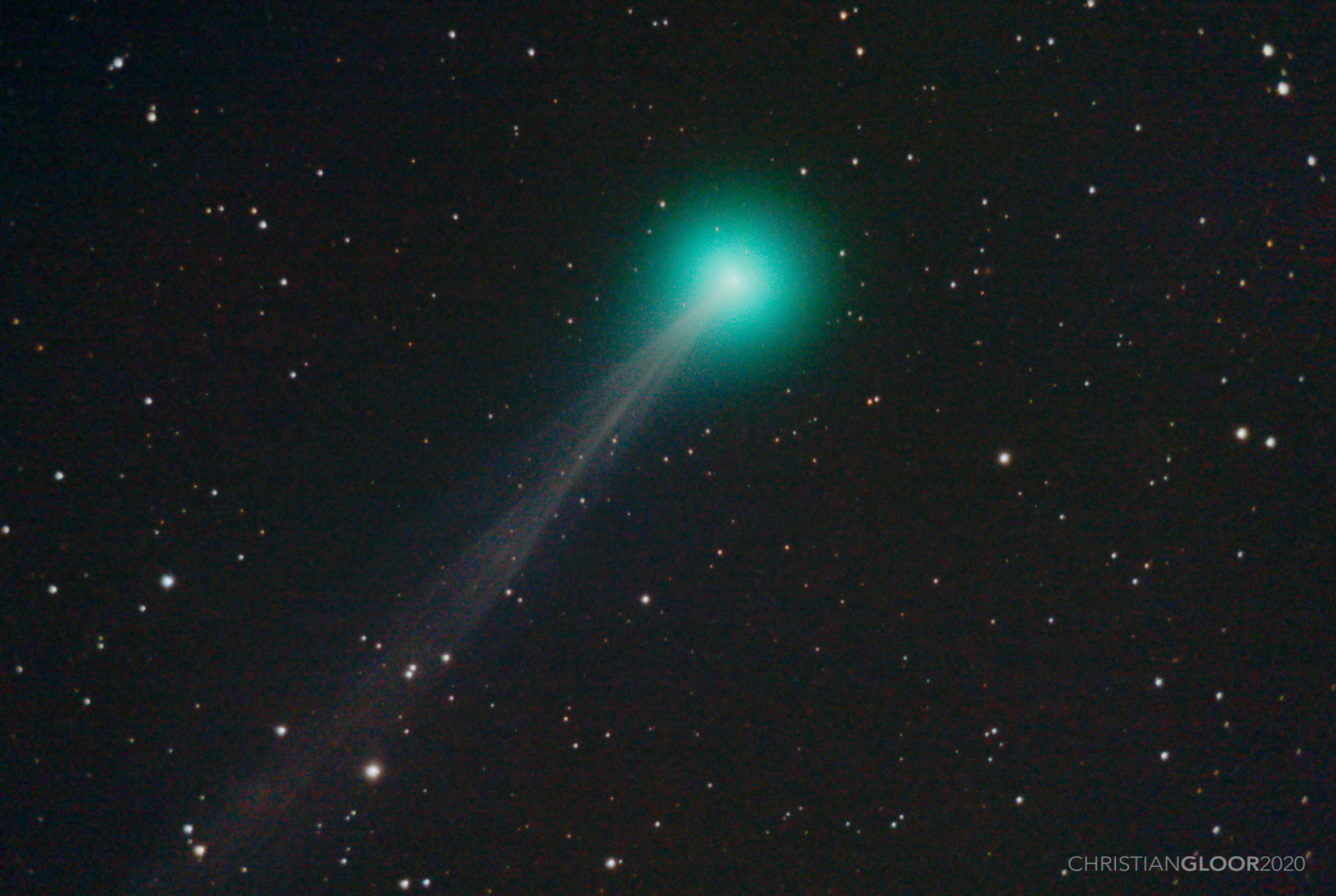 Der Komet C/2020 F8 (SWAN)